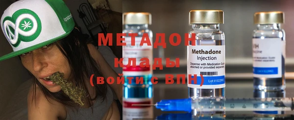 трава Корсаков