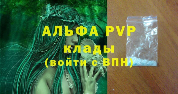 дживик Козельск