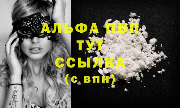 трава Корсаков