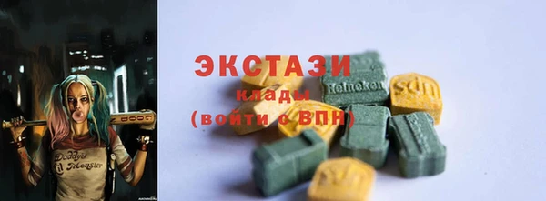дживик Козельск