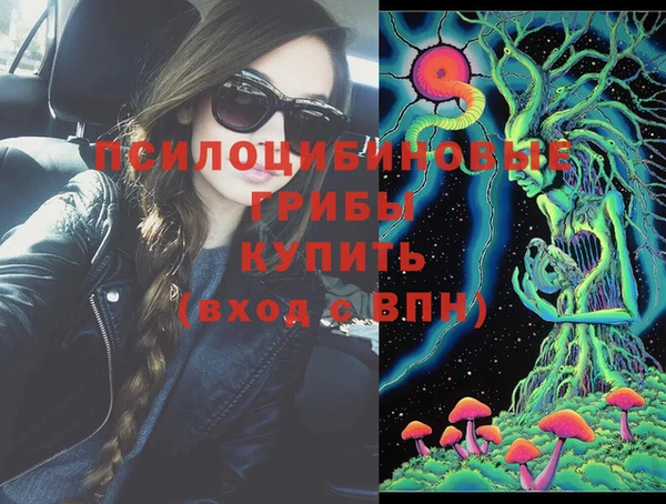 дживик Козельск