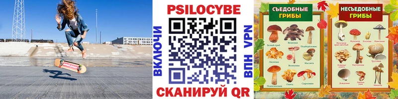 Галлюциногенные грибы Cubensis  Катайск 